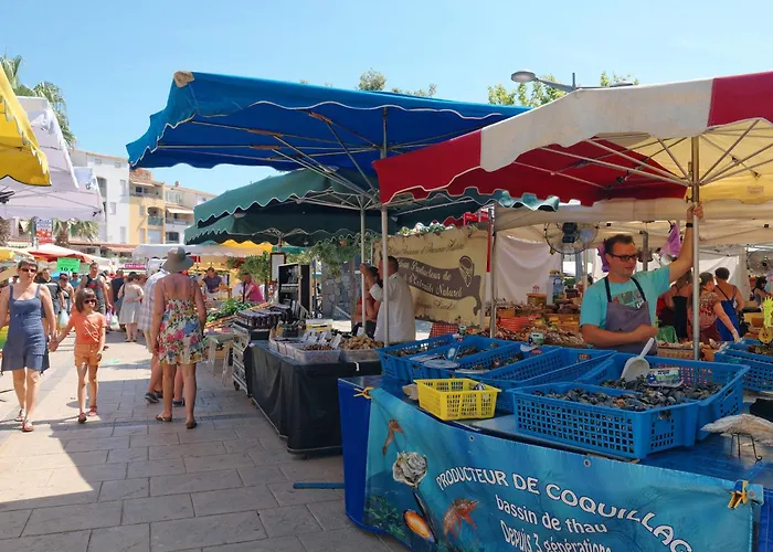 Les Raisins D'or-4 By Interhome Agde