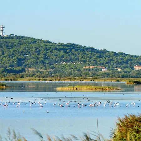 Les Raisins D'or-4 By Interhome Lejlighed